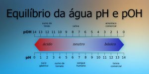ความสมดุลของน้ำ pH และ pOH