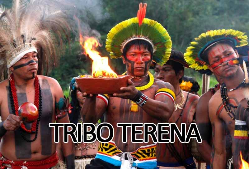 Tribo Terena