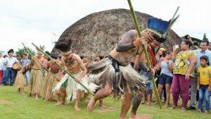 Cultura indígena